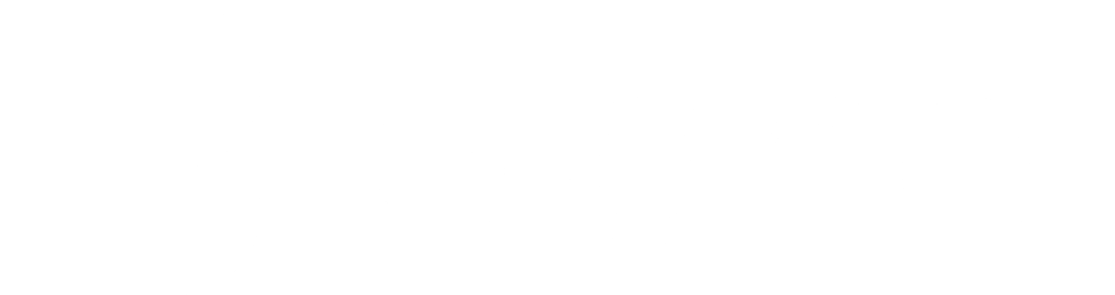 Blendi